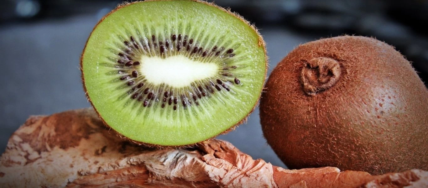 Ακτινίδια: Μεγάλη αύξηση στις ελληνικές εξαγωγές